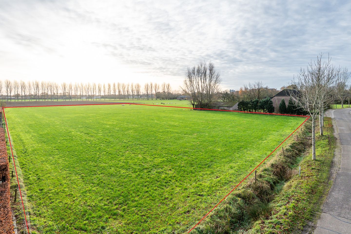 Beemdkant - Lieshout - Afbeelding 1