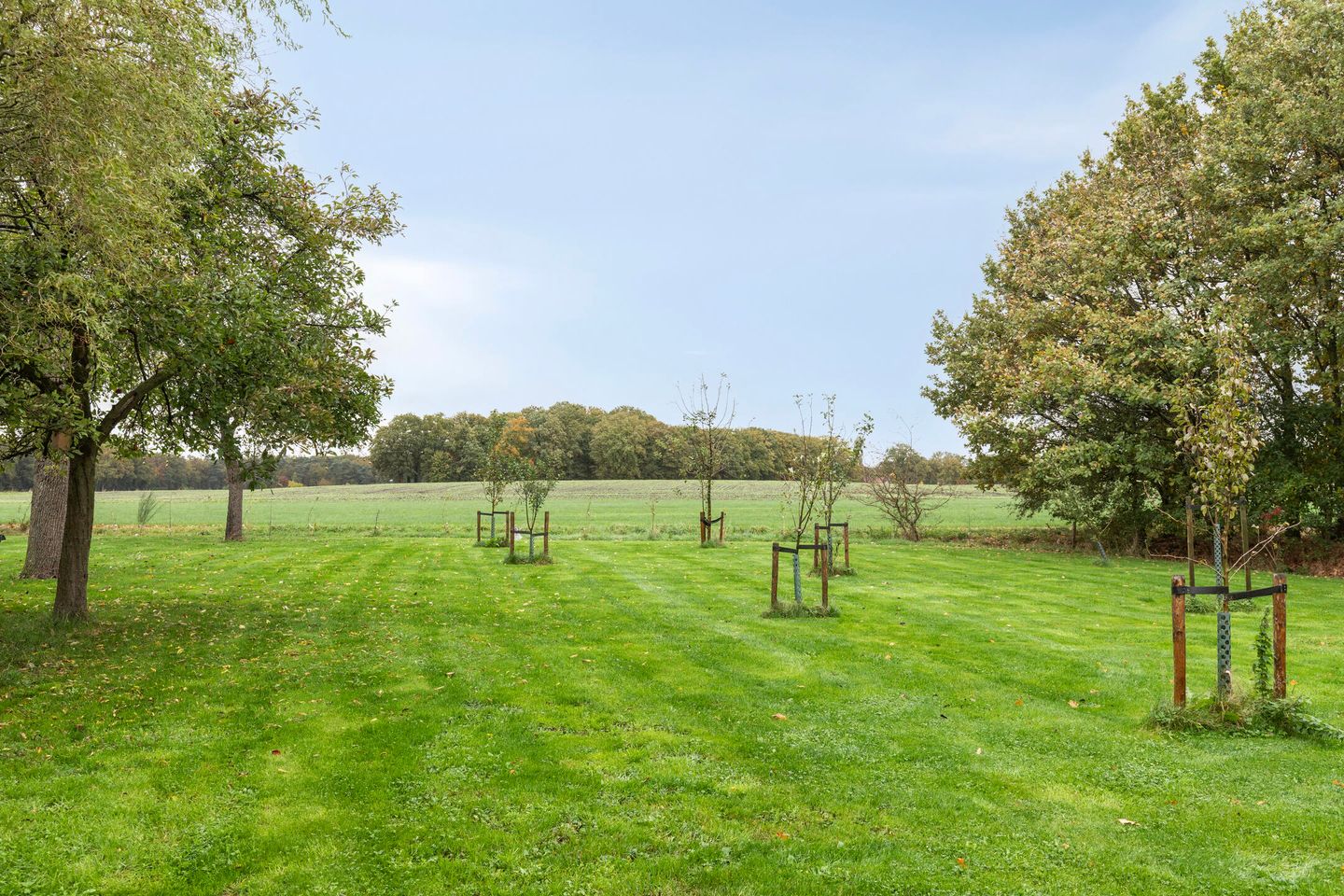 Foto 49 van Achterholderweg 6