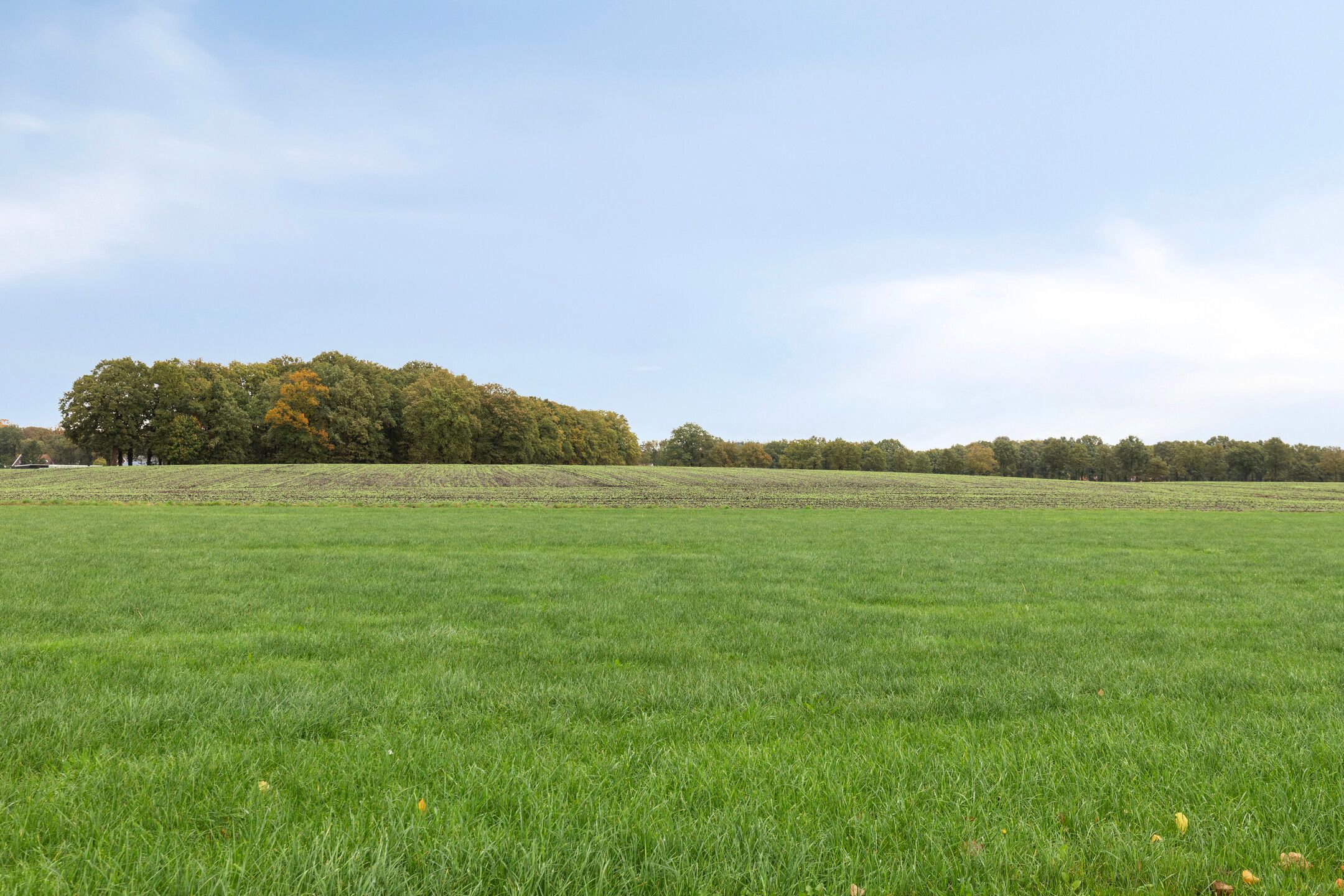 Foto 63 van Achterholderweg 6