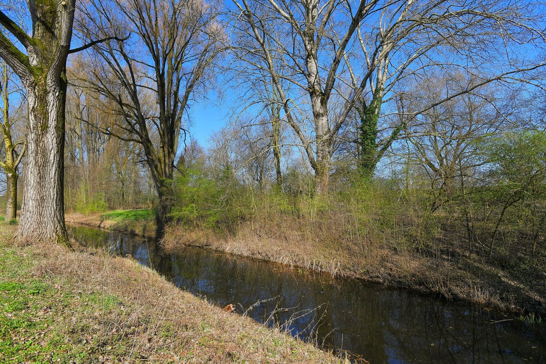 Photo 31 of Veerpolderstraat 52