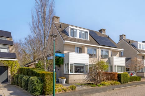 Hondiusstraat thumbnail