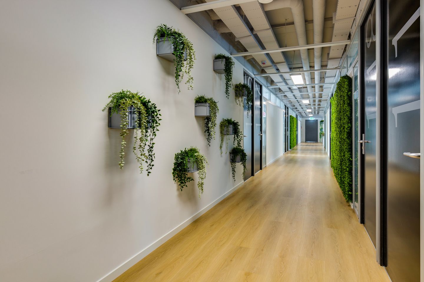 Bekijk foto 4 van Generaal Eisenhowerplein 111