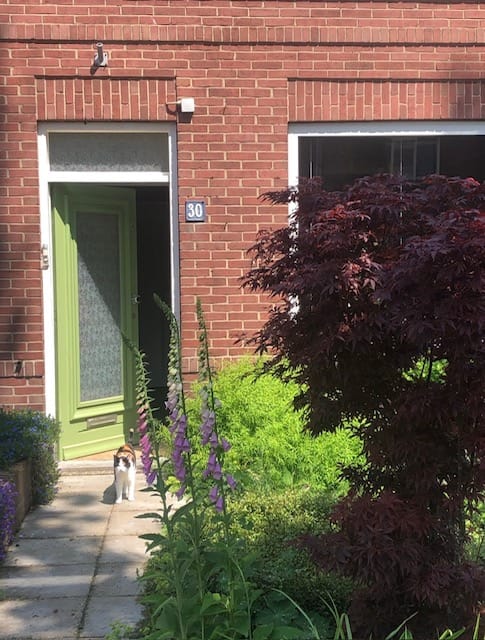 Foto 60 van Buurmansweg 30