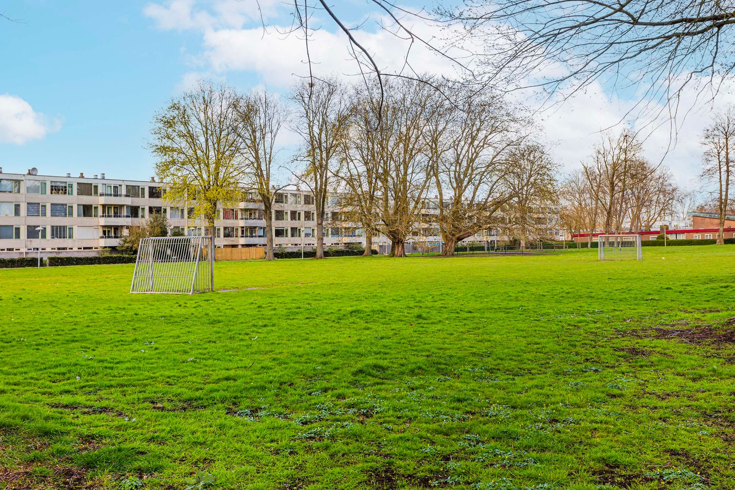 Foto 20 van Korfoedreef 119