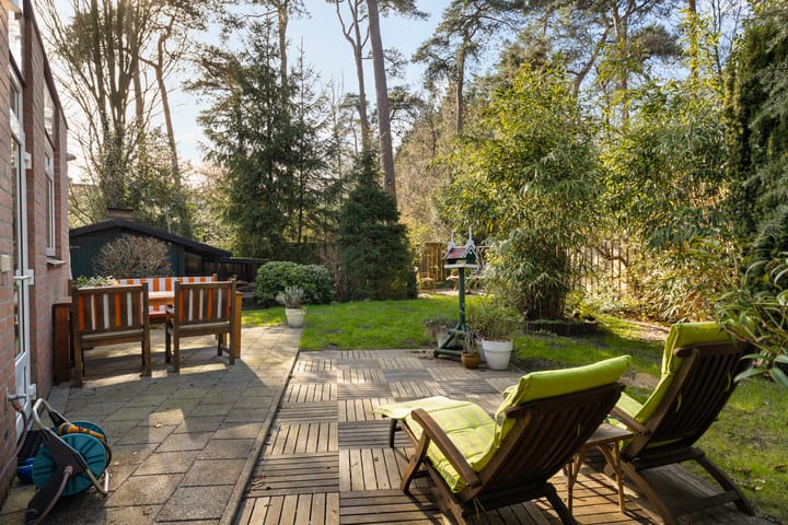 Foto 2 van Apollo 91