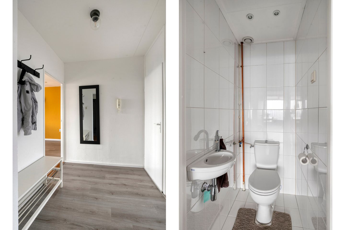 Photo 10 of Munt 203