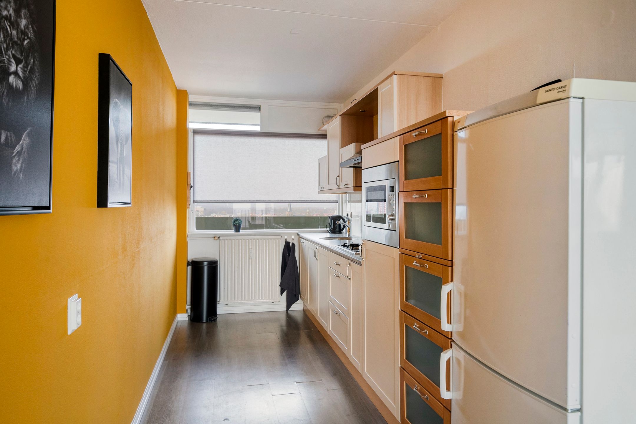 Photo 21 of Munt 203