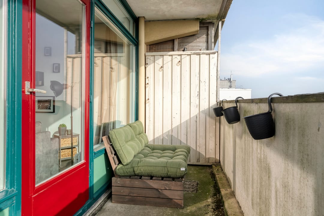 Photo 31 of Munt 203