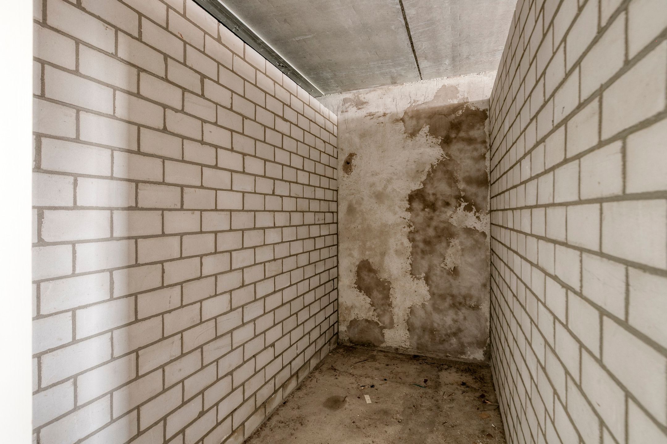 Photo 36 of Munt 203