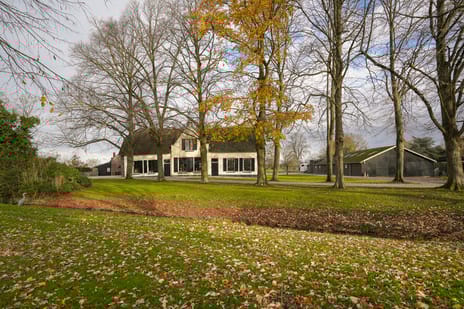 Europalaan thumbnail