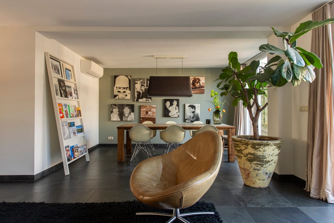 Photo 6 of Renata 45