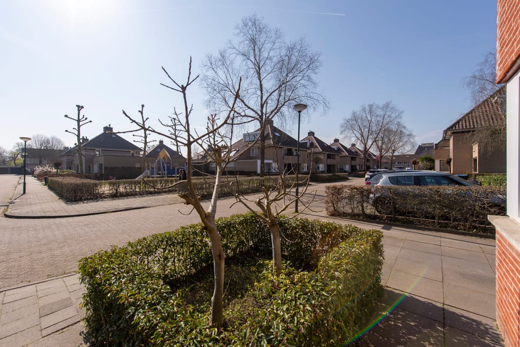 Photo 26 of Renata 45