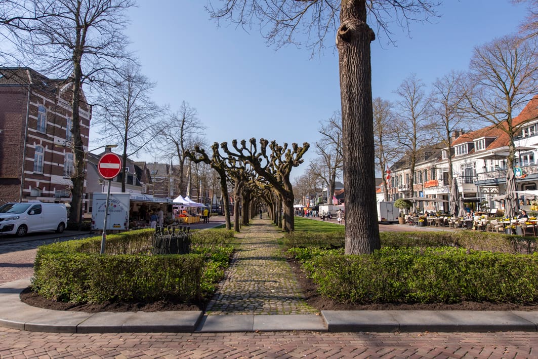 Photo 29 of Renata 45