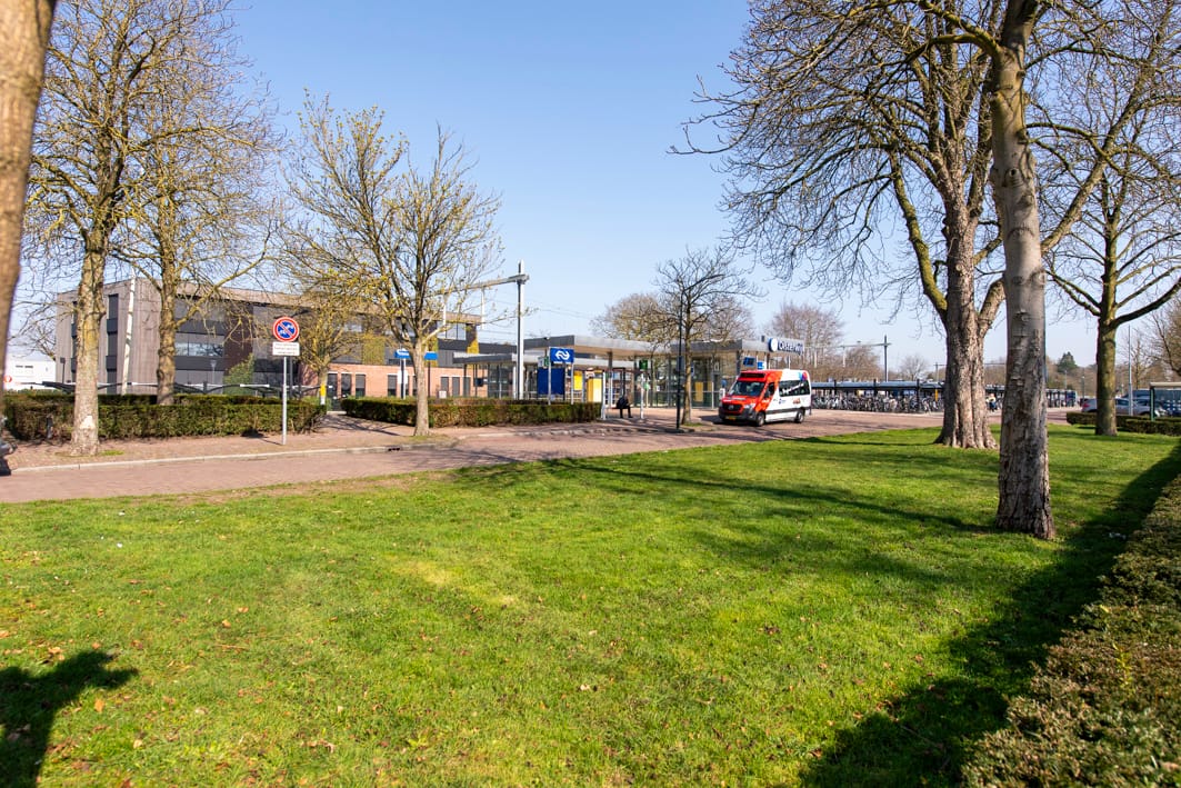 Photo 32 of Renata 45