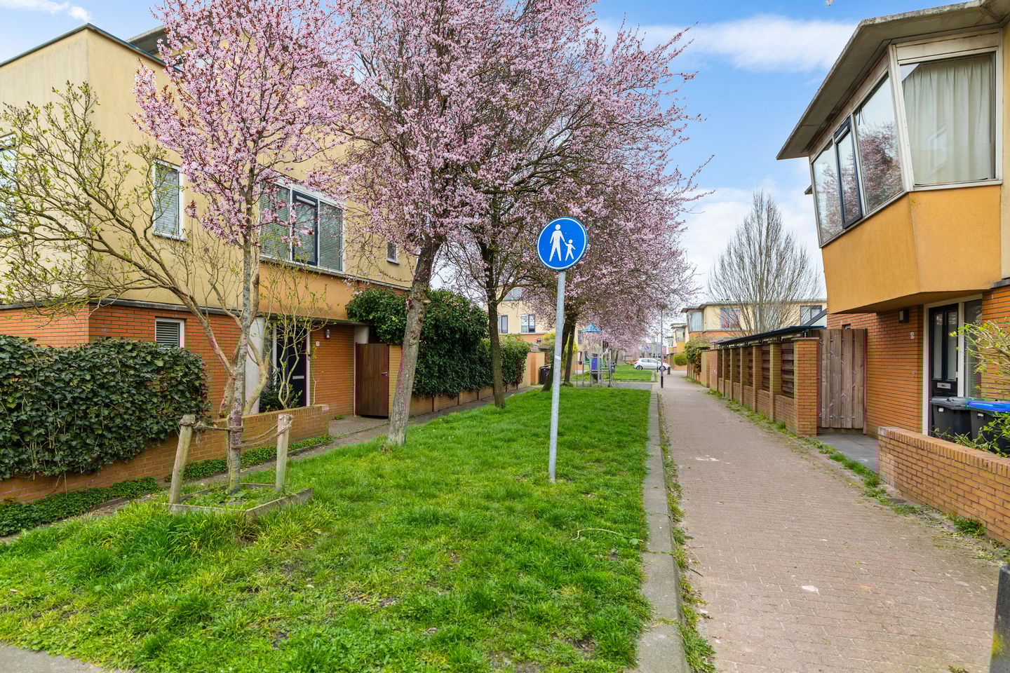 Foto 34 van Jacob van Hattumstraat 39