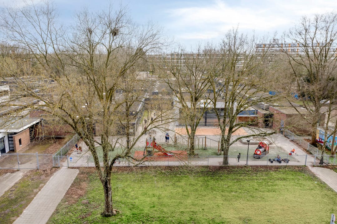 Foto 17 van Rijnauwenstraat 262