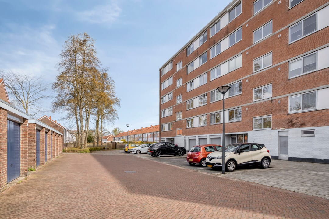 Foto 28 van Rijnauwenstraat 262