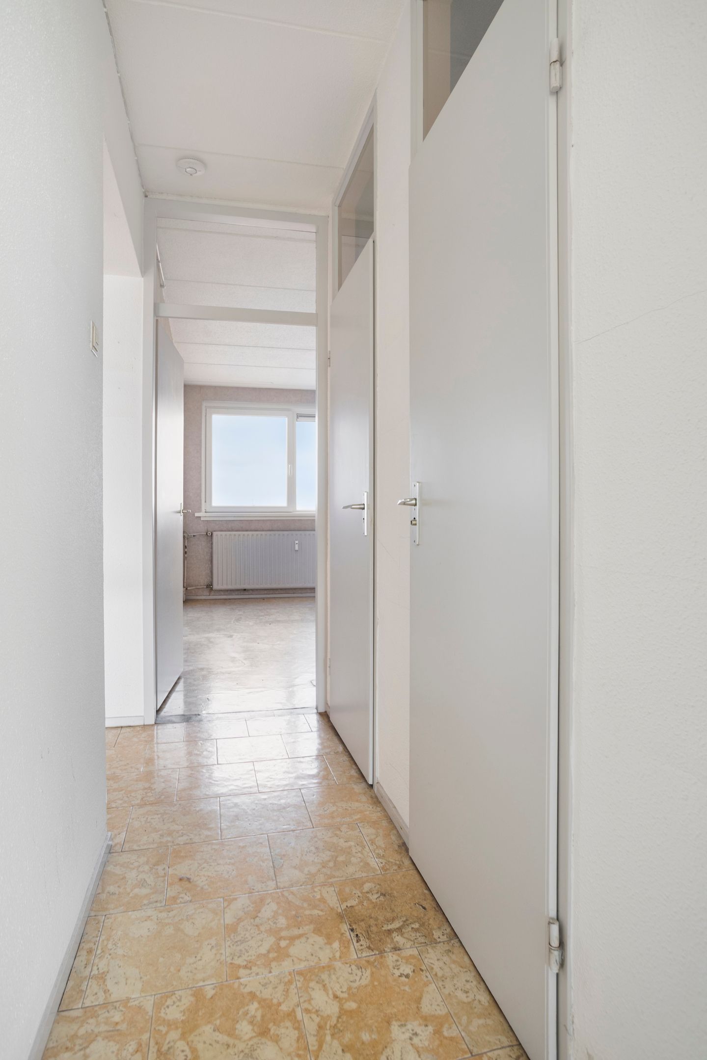 Foto 21 van Rijnauwenstraat 262