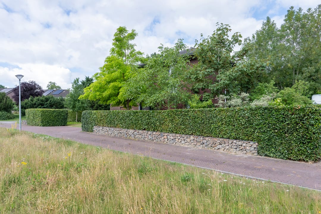 Foto 41 van Laan van het Kwekebos 392