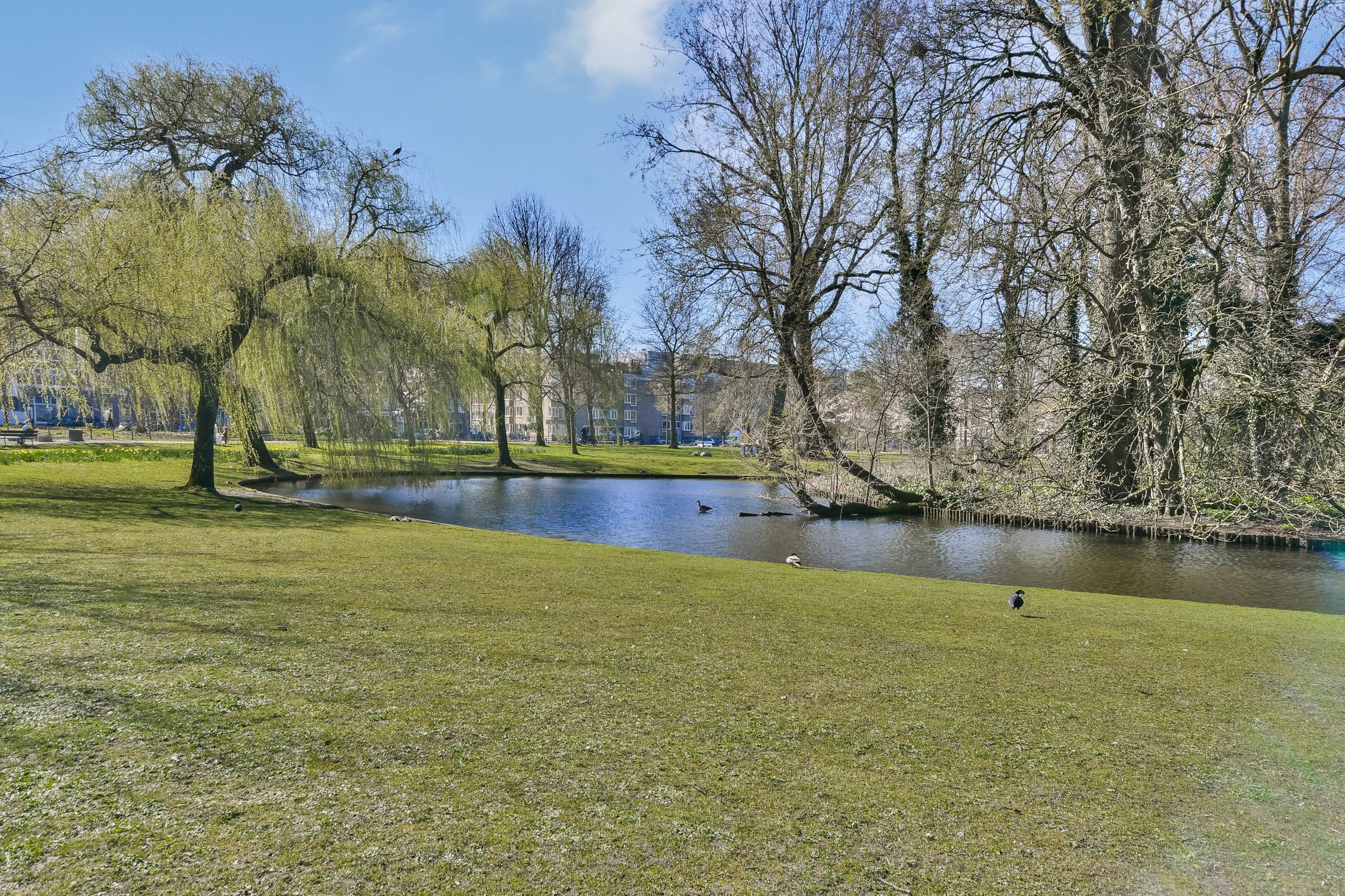 Photo 18 of Zaanstraat 53