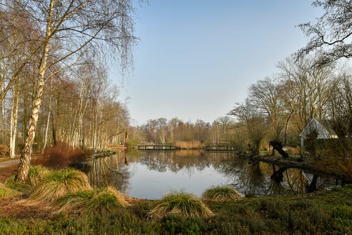 Foto 2 van Amsterdamseweg 232