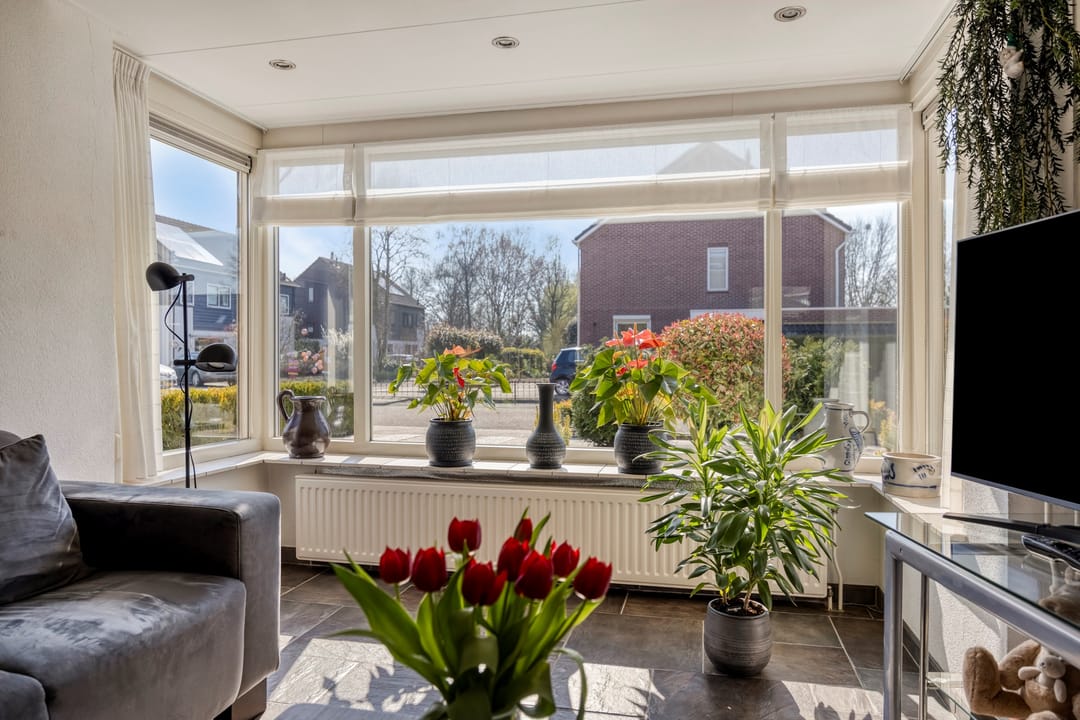 Foto 8 van de Wandelingen 48