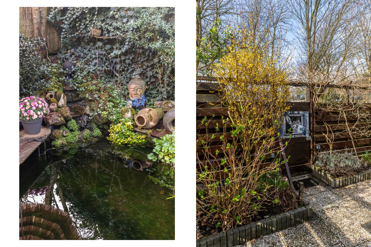 Foto 25 van Dr. R.J. Fruinplantsoen 55