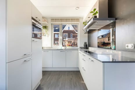 Ridderzwam 177 tertiary image