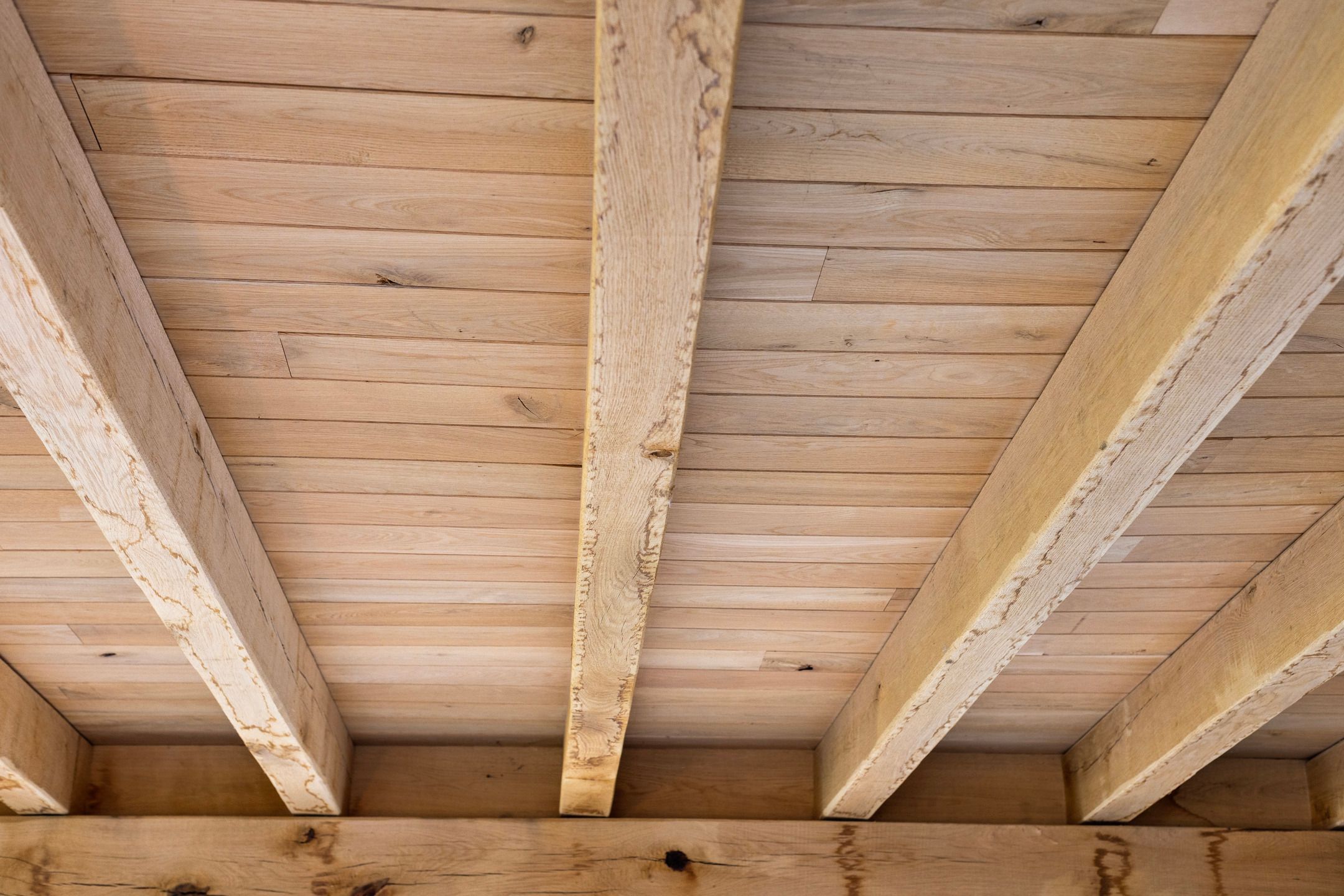 Foto 24 van Hofstraat 9