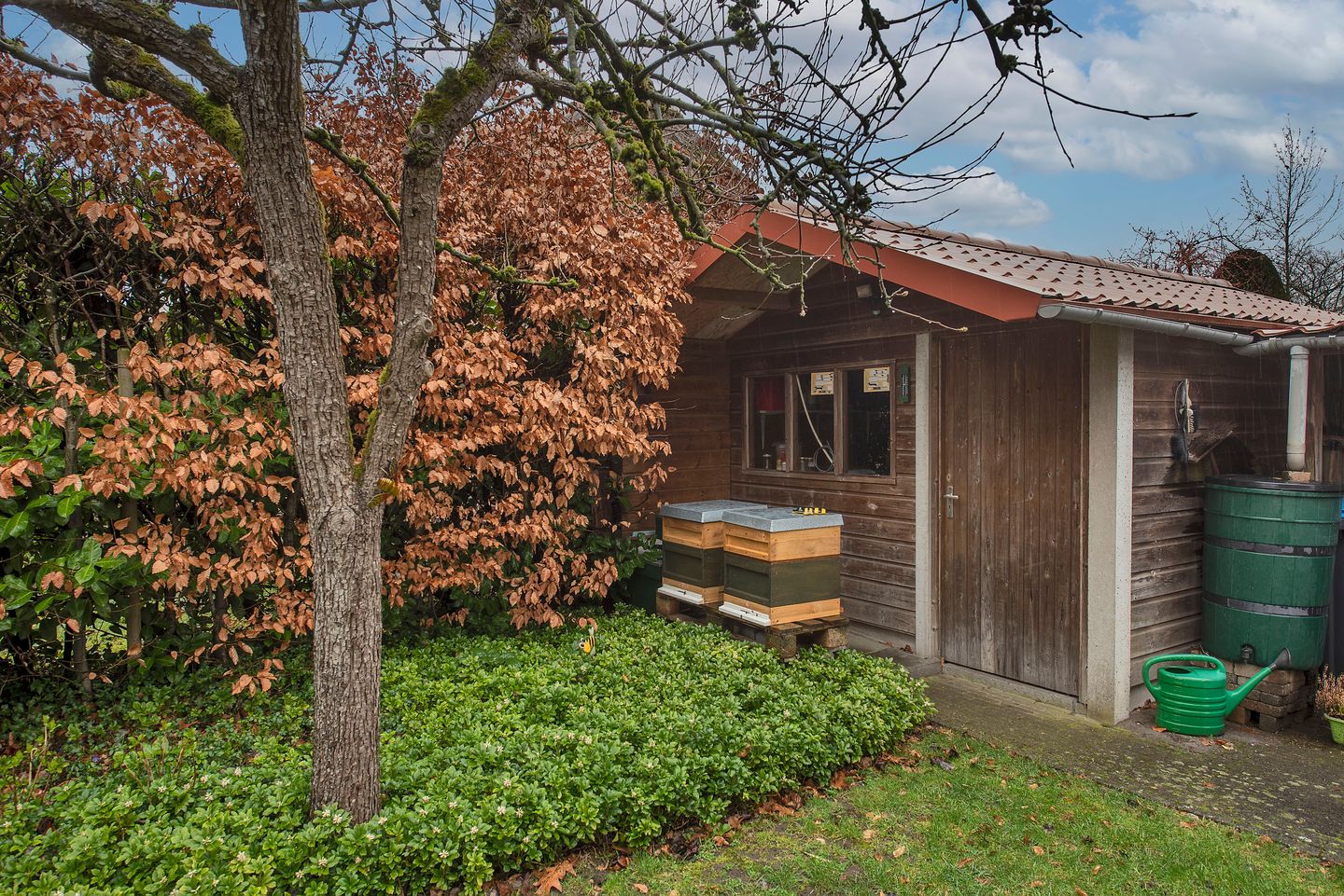 Spacious Detached Residence with Ground Floor Bedroom in 't Zwering — 24