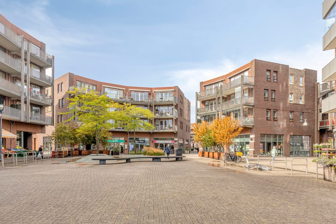 Photo 28 of Sierra Nevada 41