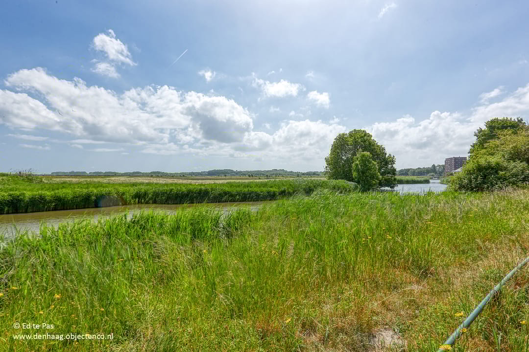 Foto 46 van Arenastraat 88