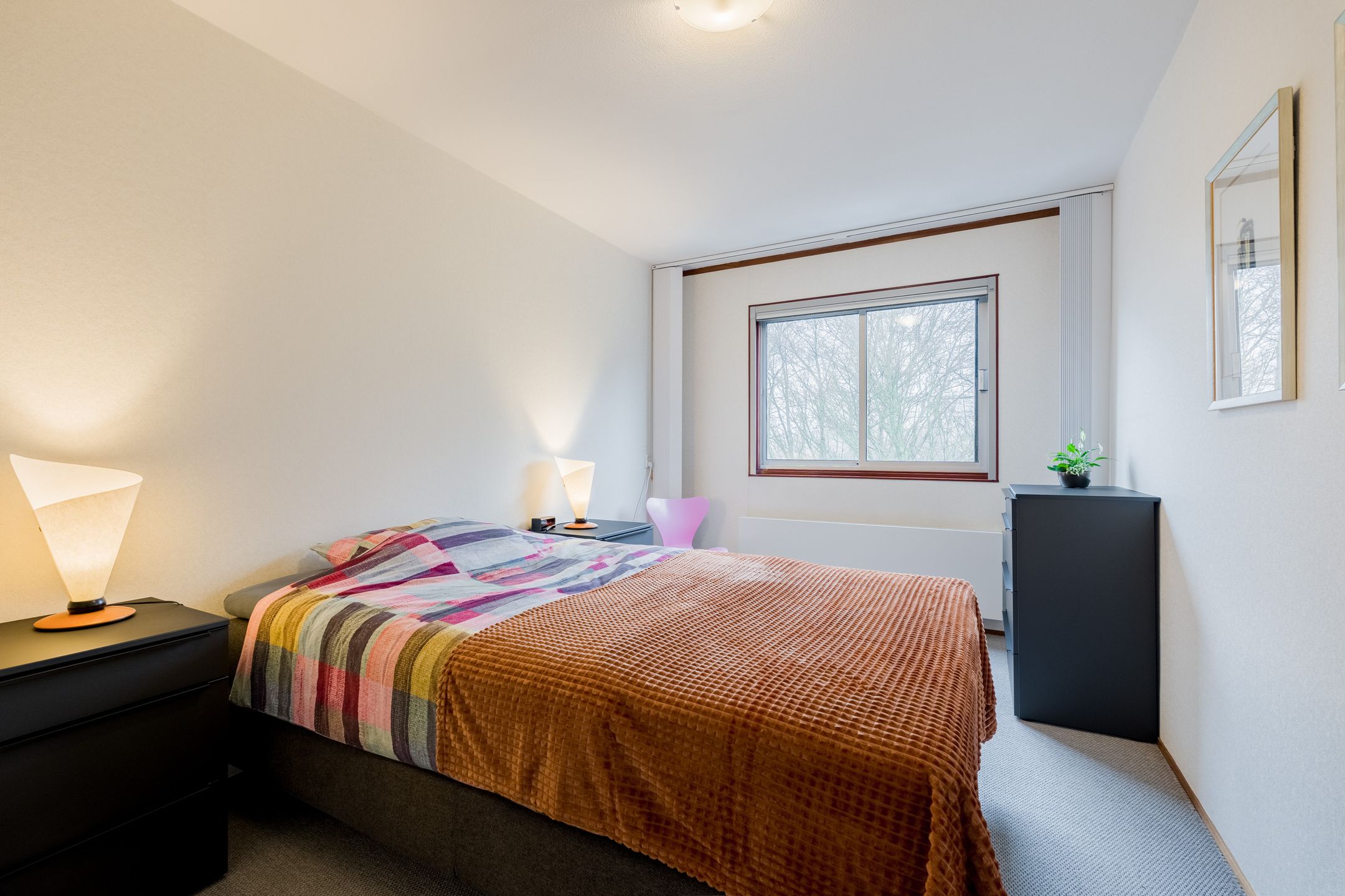 Foto 18 van Grote Beer 145