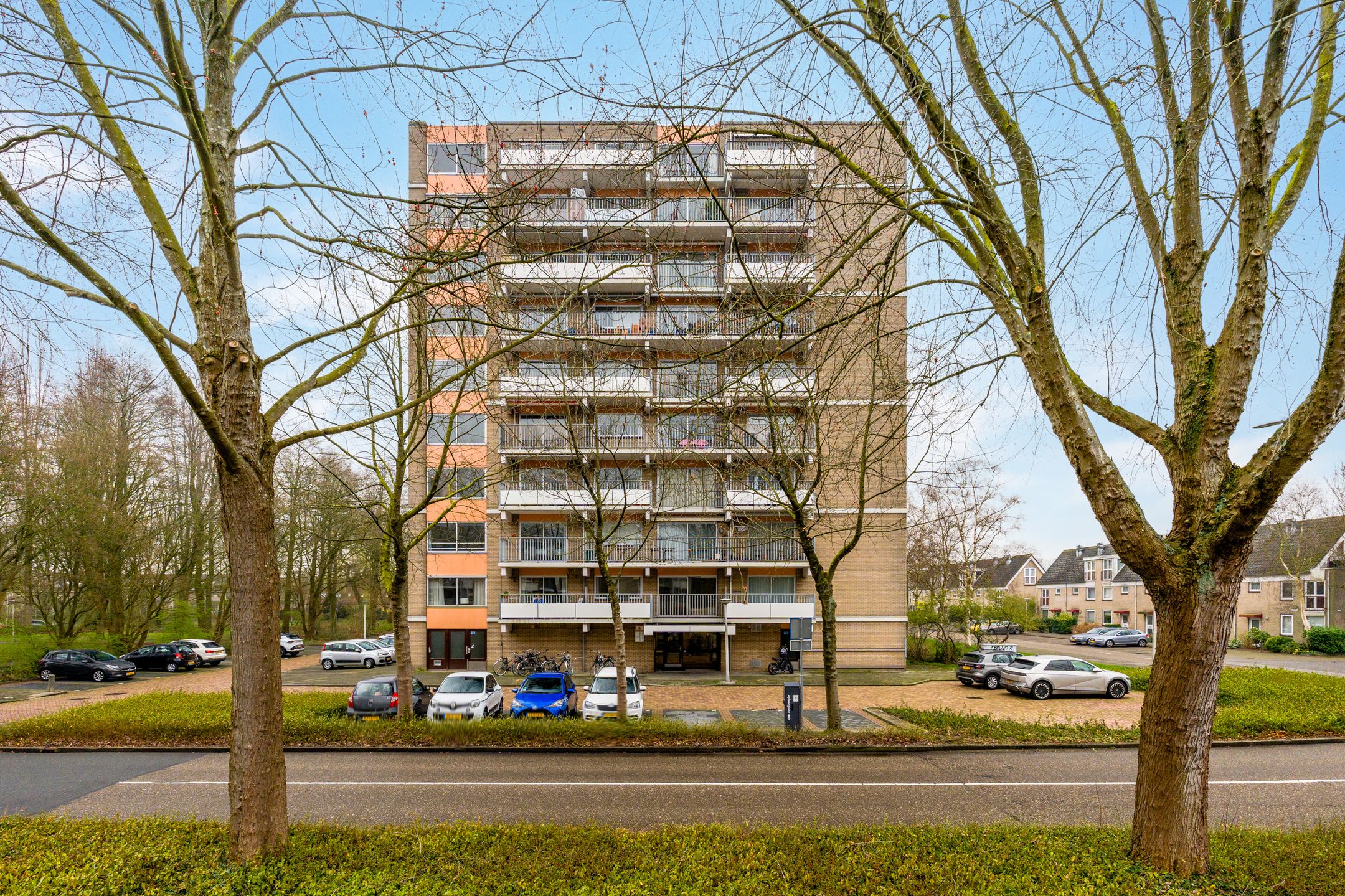 Foto 24 van Grote Beer 145