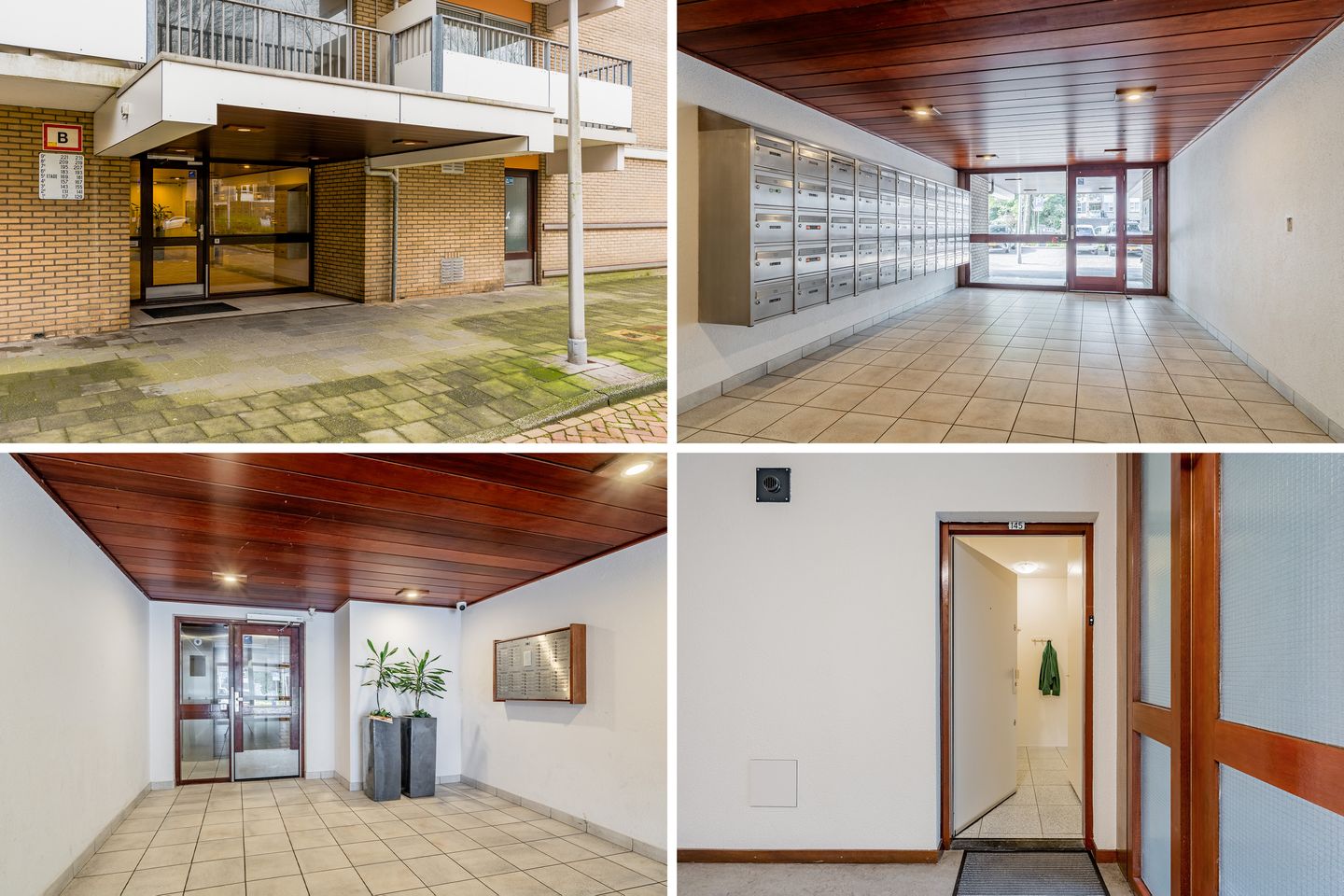 Foto 25 van Grote Beer 145