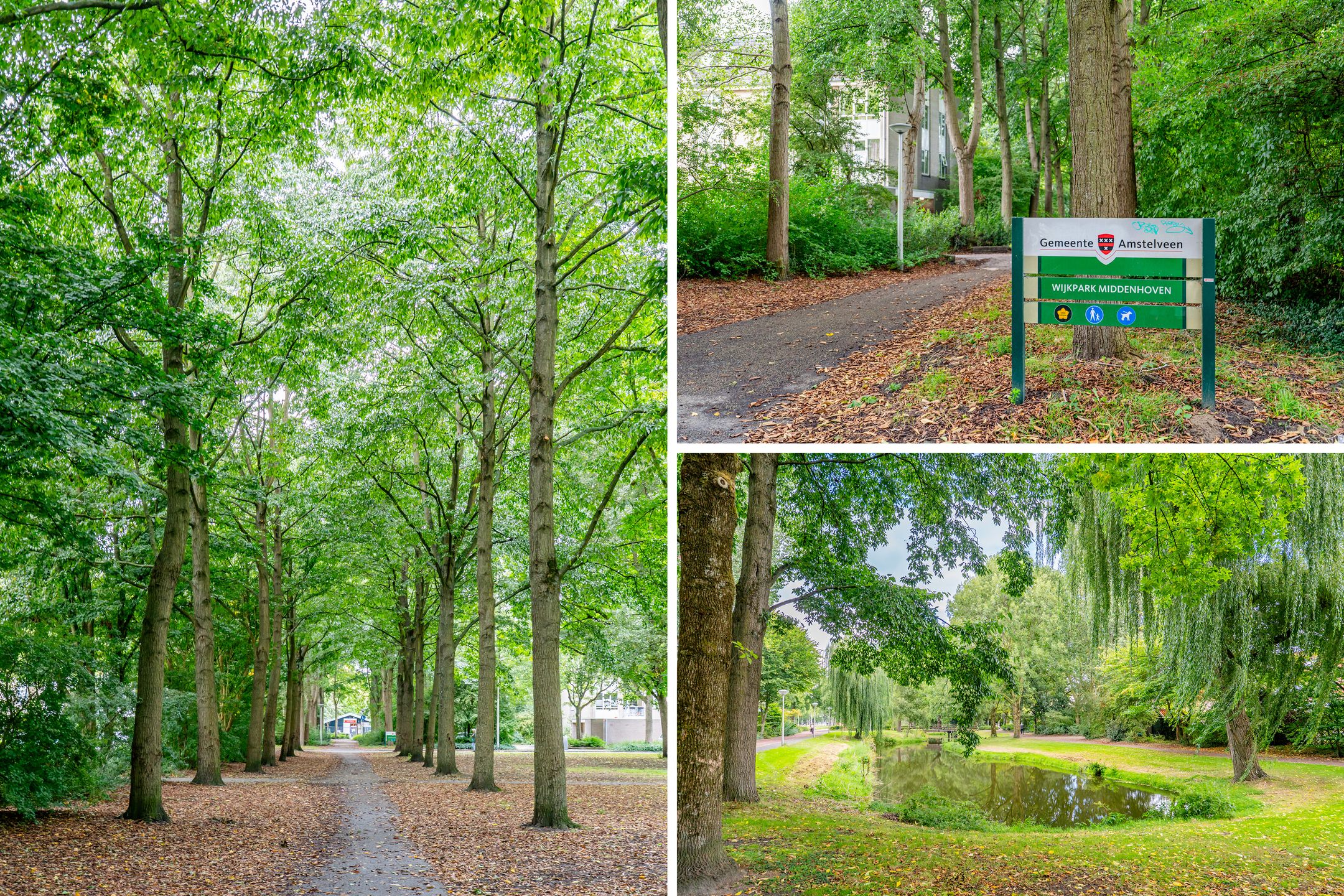 Foto 27 van Grote Beer 145