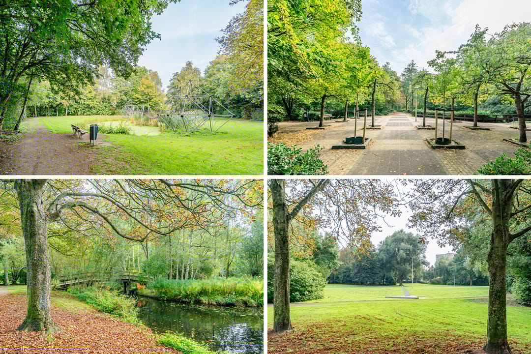 Foto 28 van Grote Beer 145