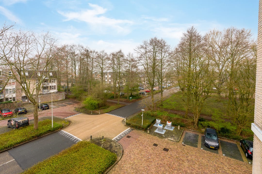 Foto 13 van Grote Beer 145