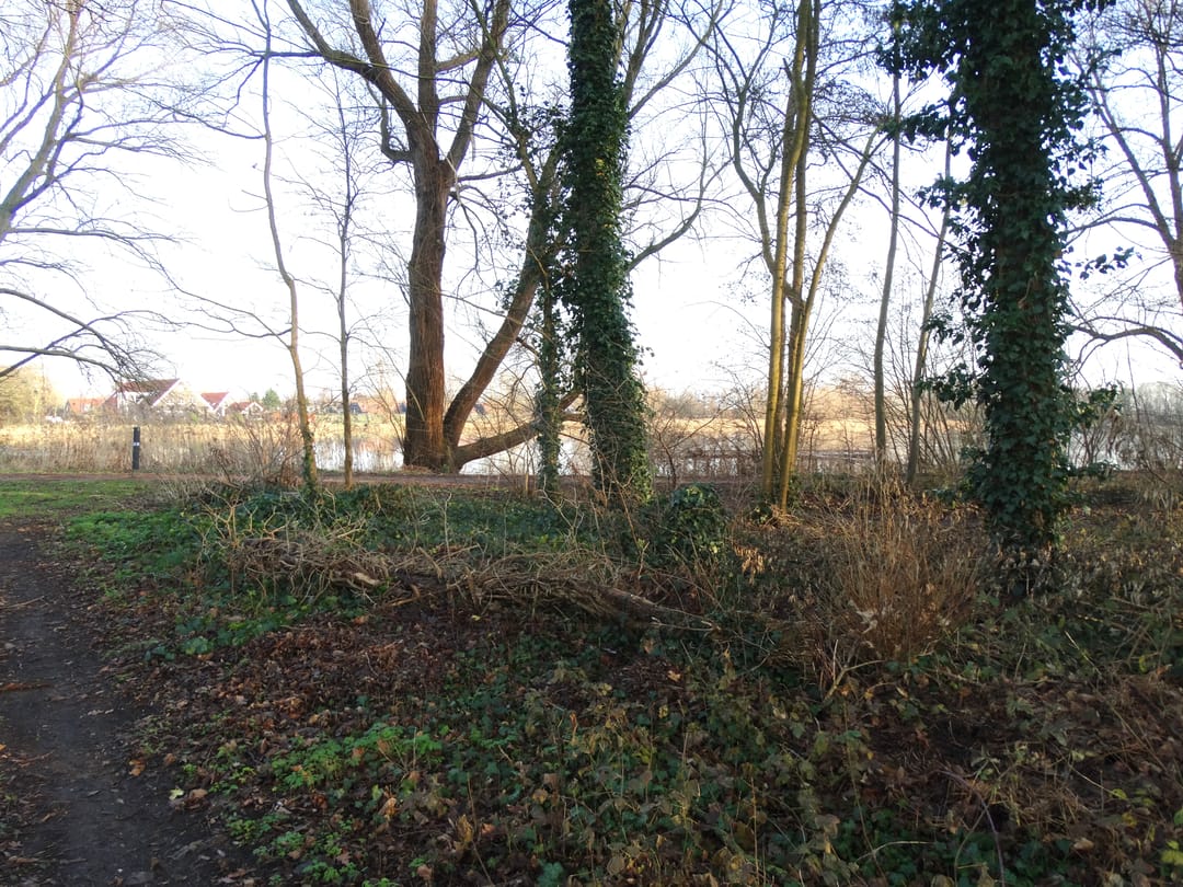 Photo 32 of Stelleplas 167-B