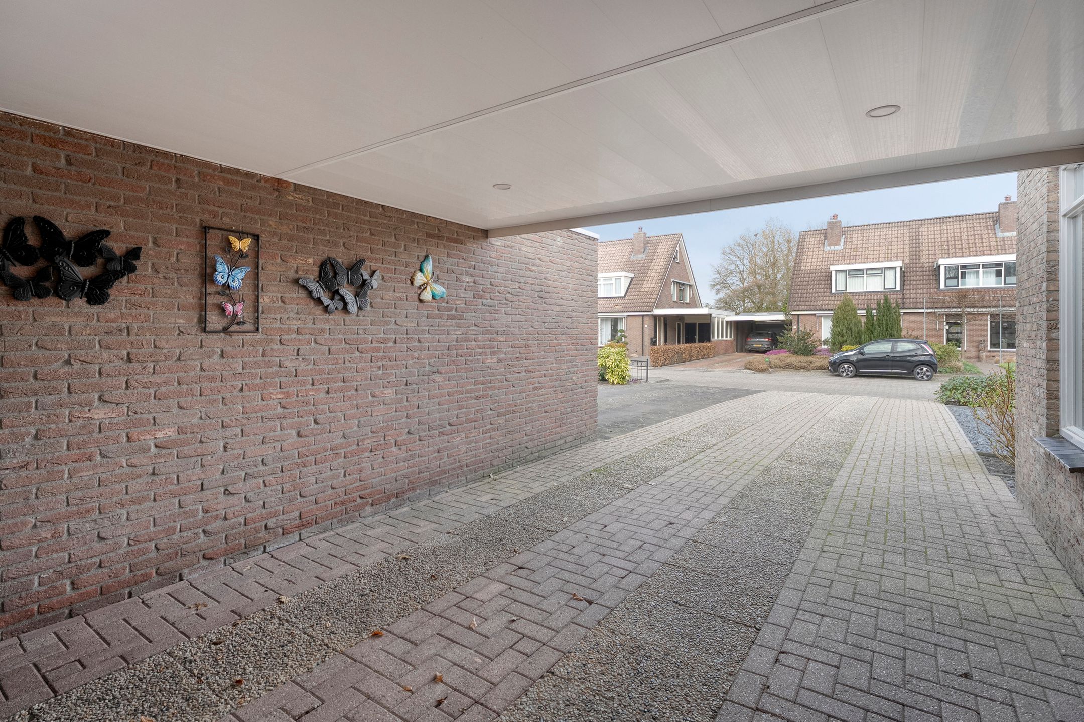 Foto 54 van Steenuil 37