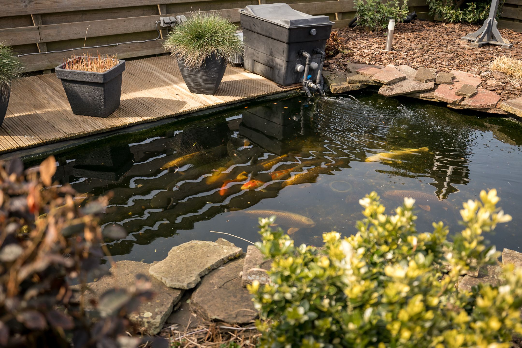 Foto 33 van Hertog Willemweg 51