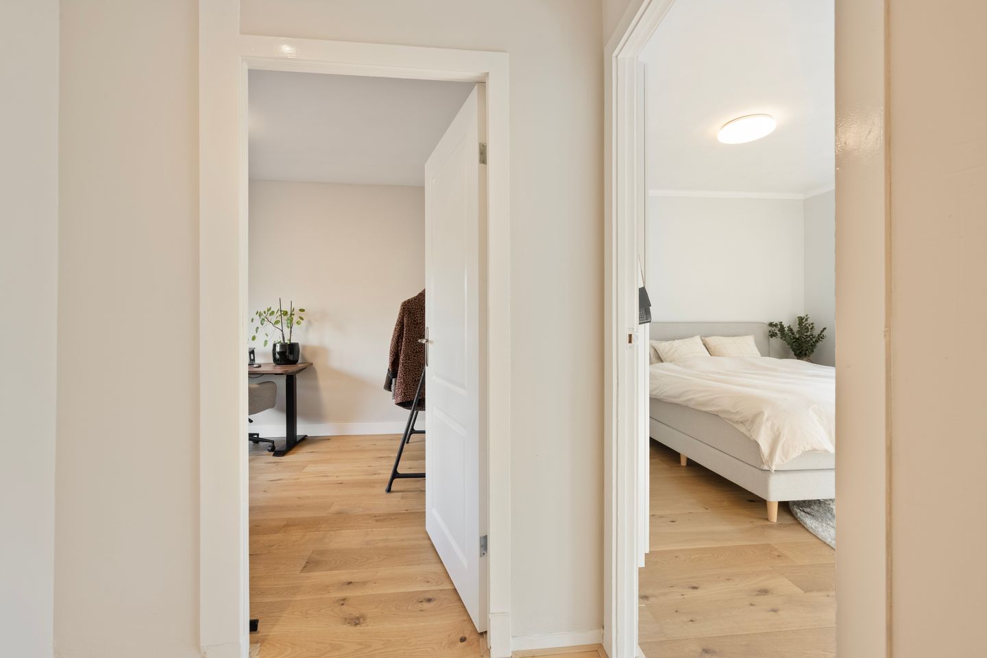 Photo 20 of Willink van Collenstraat 62