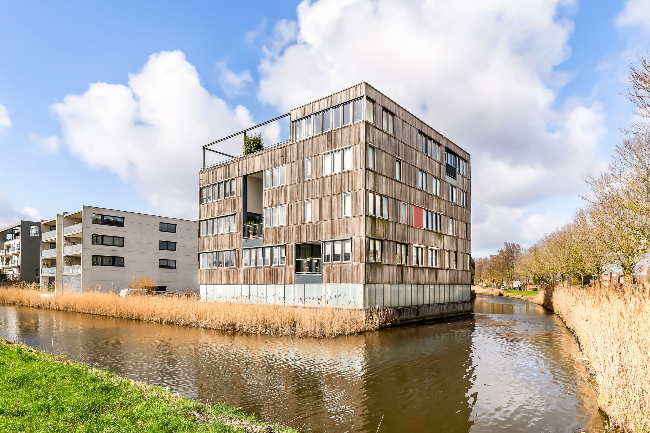 Photo 6 of L. Springerstraat 242