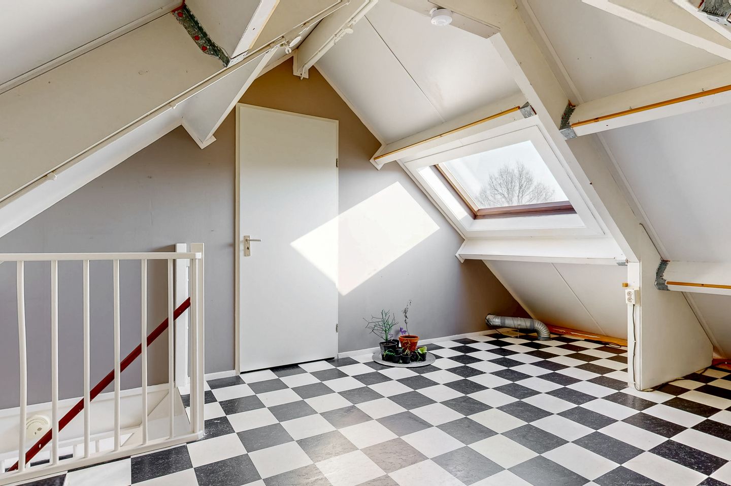 Foto 35 van Notarisappel 186