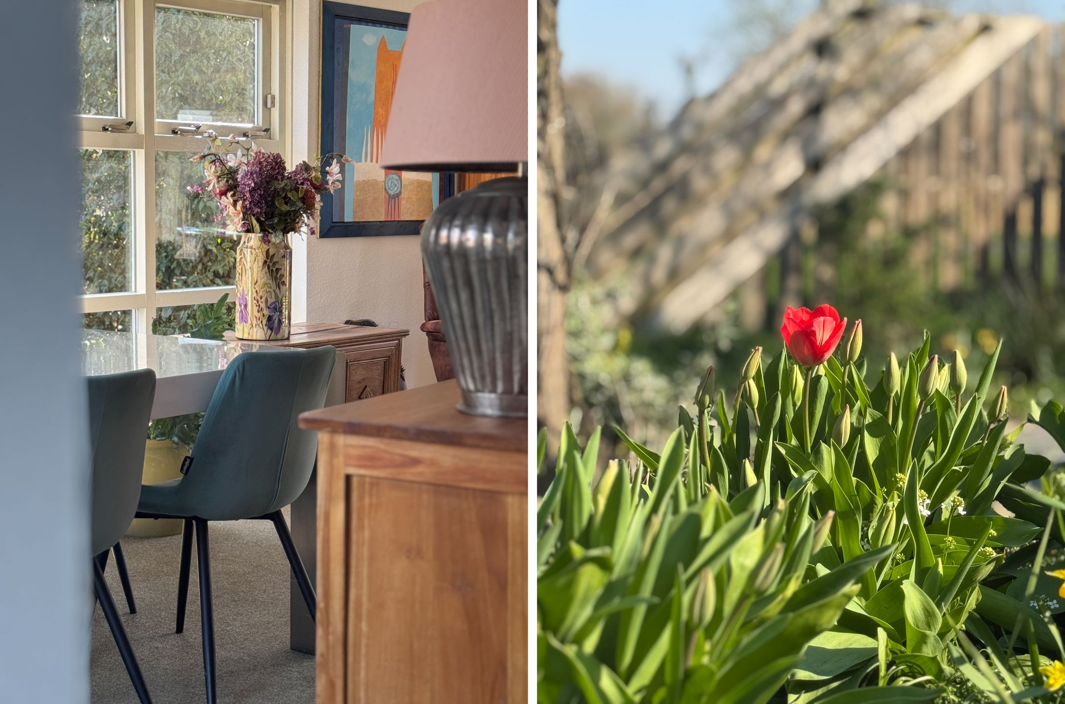 Foto 36 van Notarisappel 186