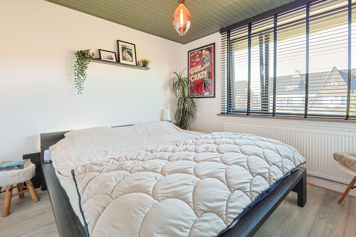 Foto 29 van Heezerweg 207