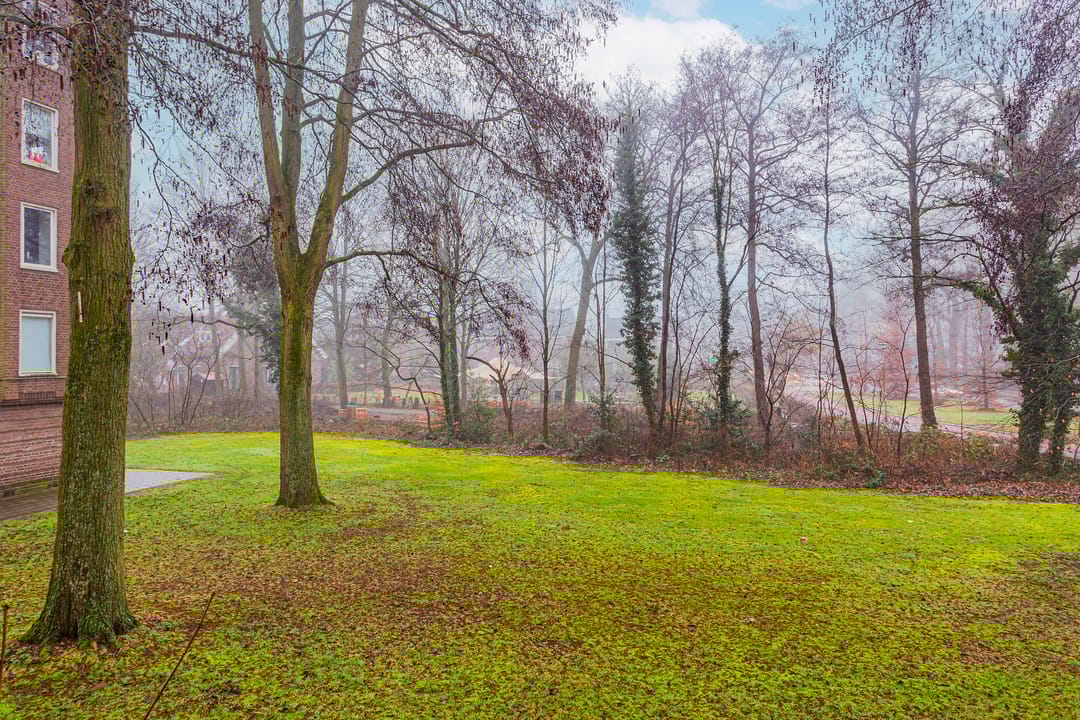 Foto 16 van Haydnstraat 7-B