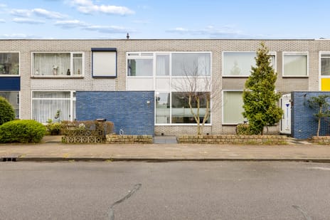 De Louterlaan thumbnail