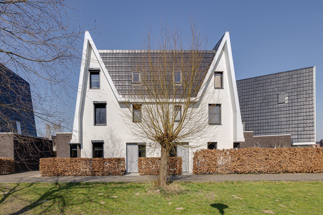 Foto 1 van Boomblauwtje 44