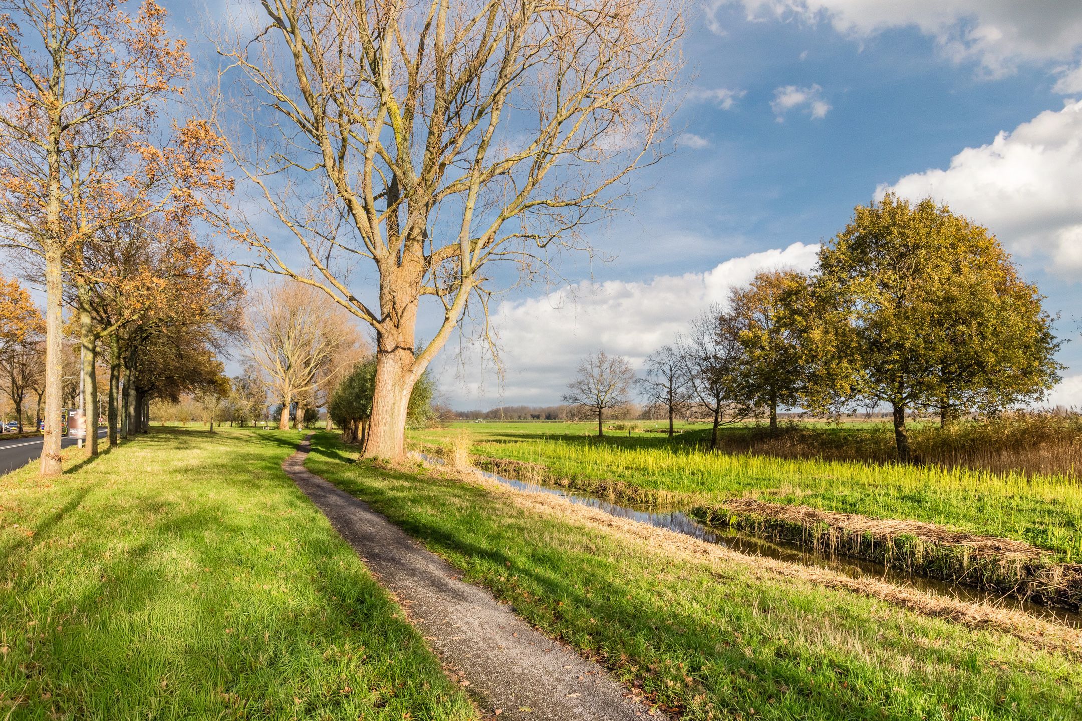 Foto 51 van Reigerstraat 144